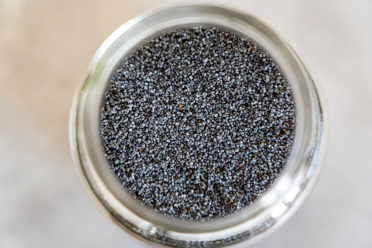 Black poppy seeds filling a small glass jar, about the size of your baby at 4 weeks pregnant