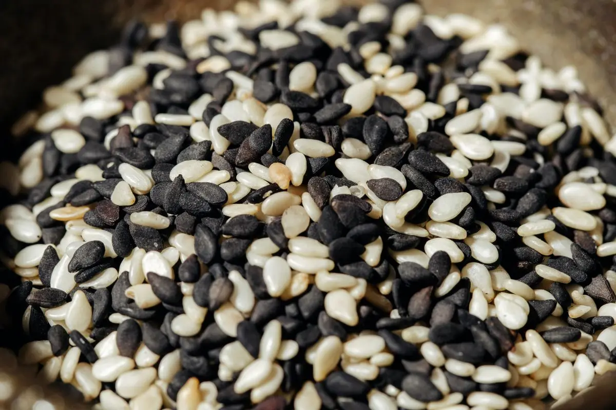 A pile of black and white sesame seeds, about the size of your baby at 5 weeks pregnant