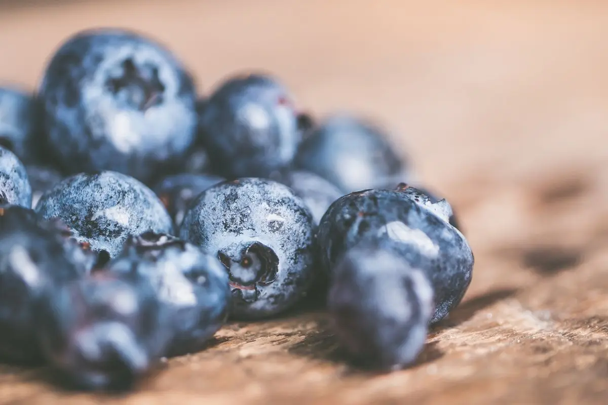 Fresh blueberries on a wooden surface, about the size of your baby at 7 weeks pregnant