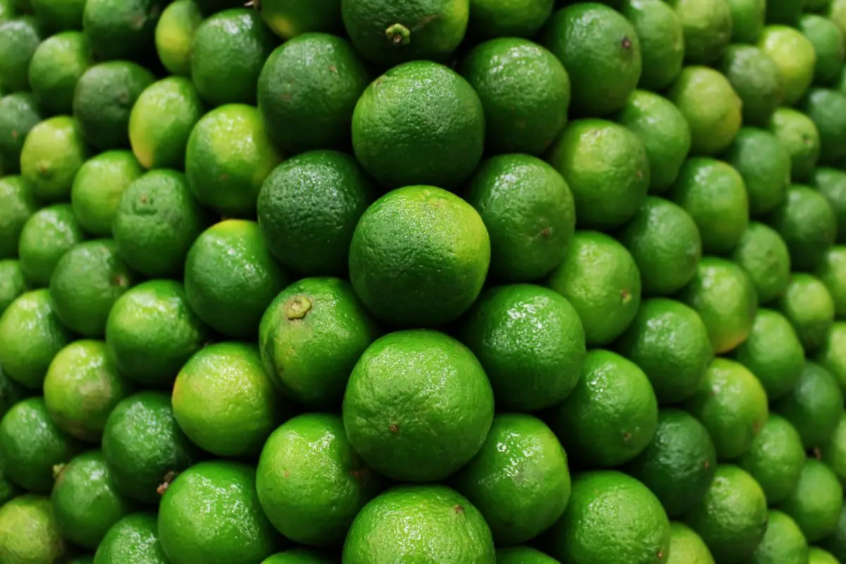 A pile of fresh green limes, about the size of your baby at 12 weeks pregnant