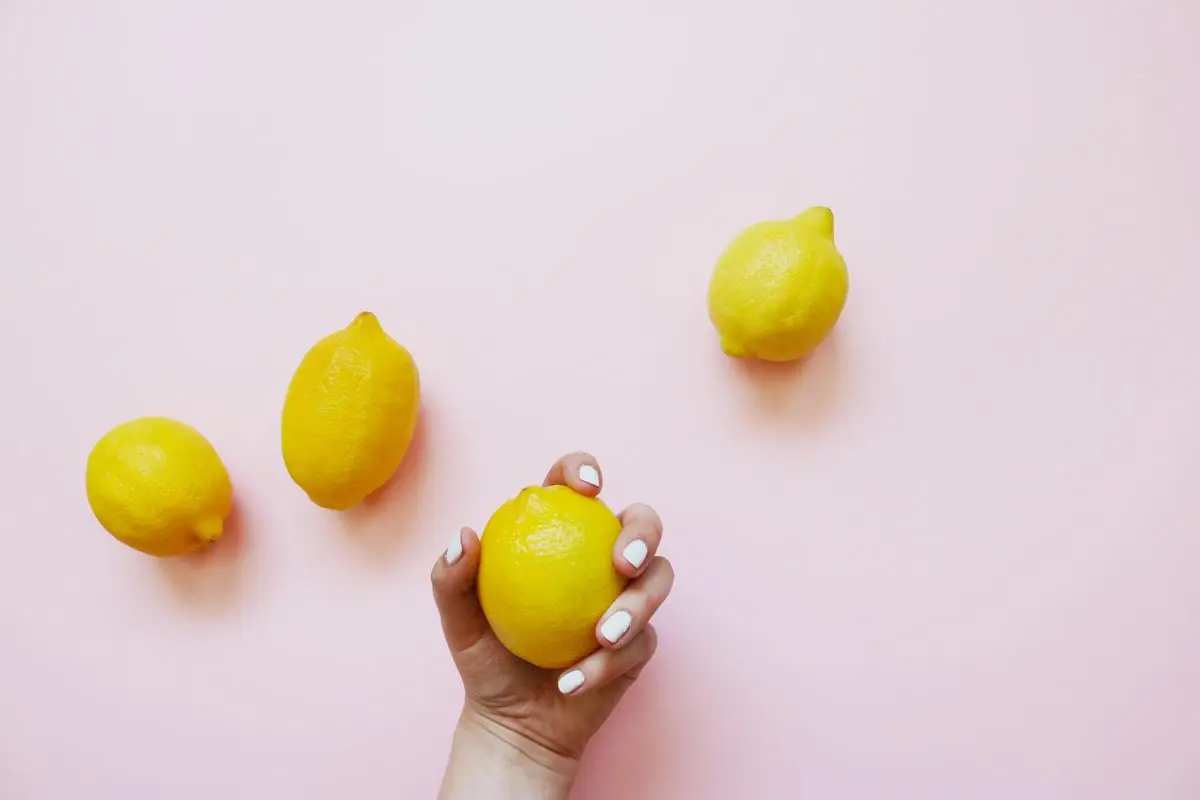 Fresh yellow lemons on a pink background, one held in a hand, about the size of your baby at 13 weeks pregnant