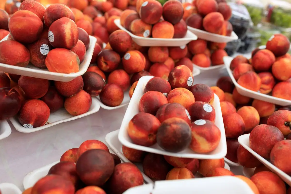 Fresh ripe peaches in trays at a market, about the size of your baby at 14 weeks pregnant