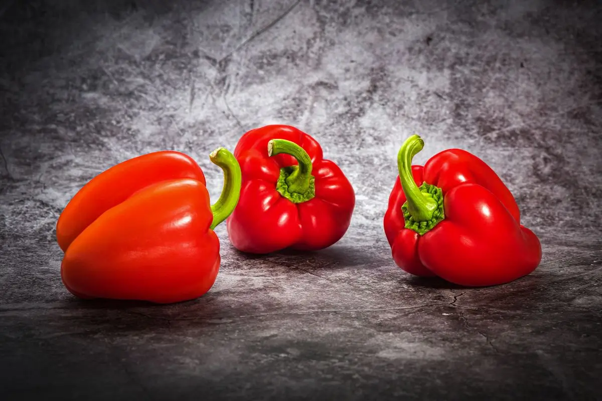 Three fresh red bell peppers on a grey background, about the size of your baby at 18 weeks pregnant