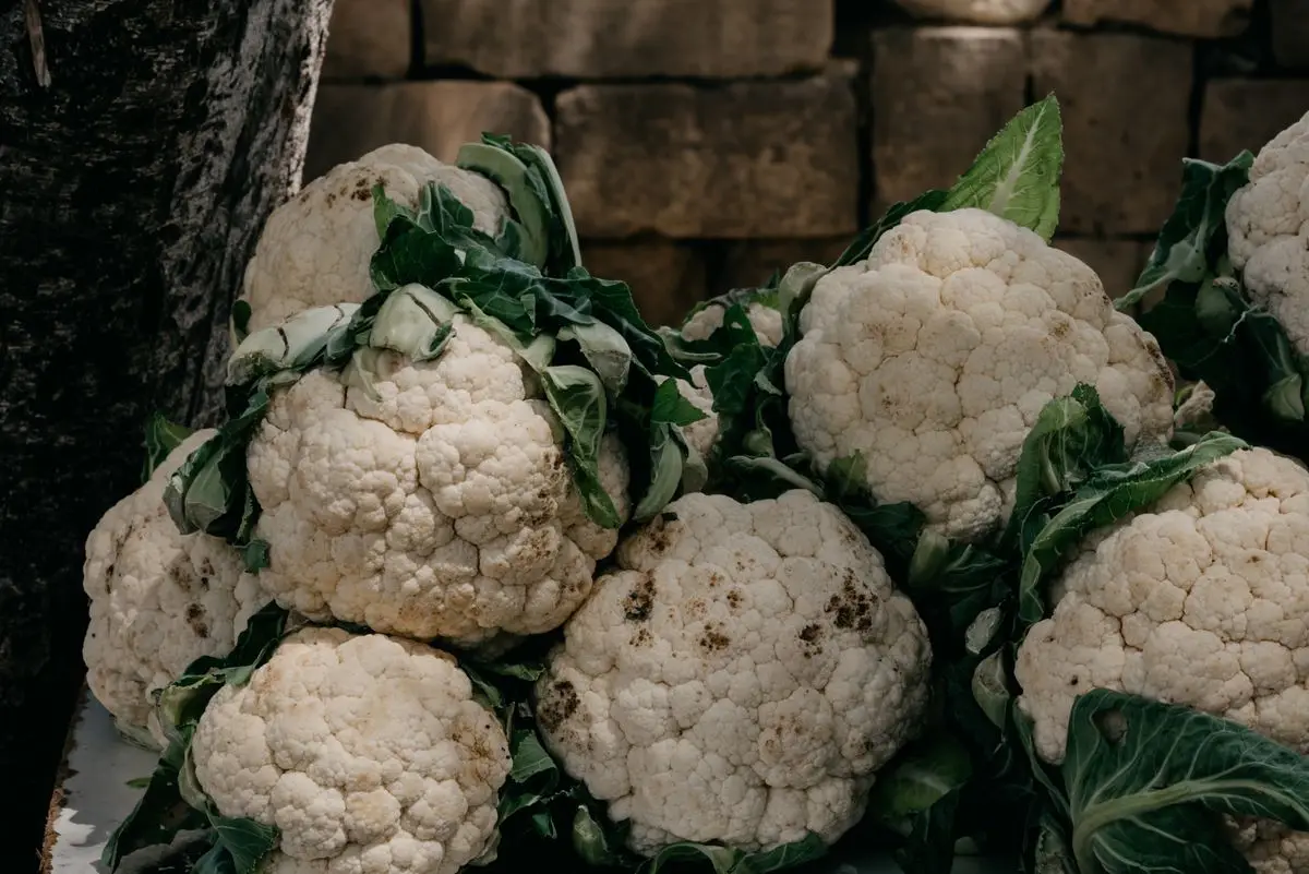 Fresh white cauliflower heads with green leaves, about the size of your baby at 27 weeks pregnant