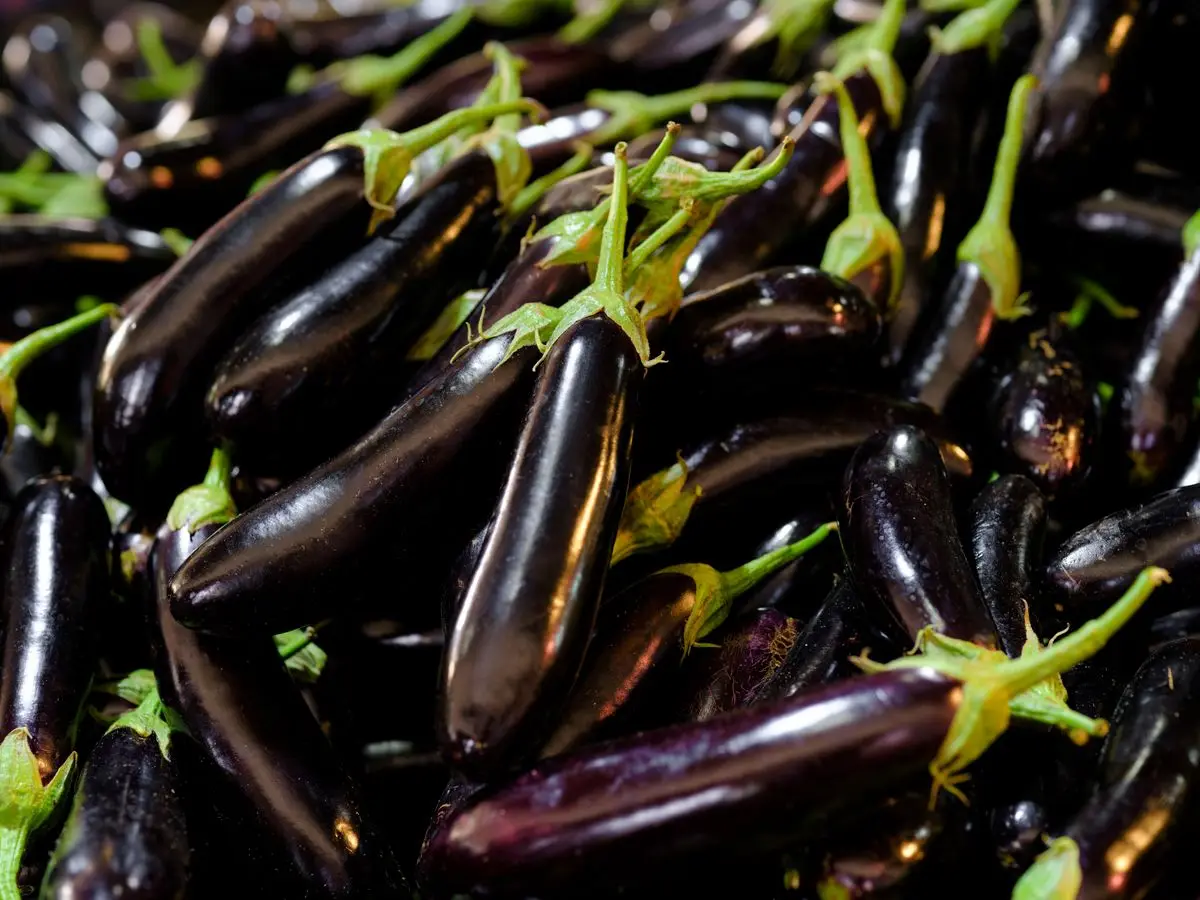 A pile of glossy purple eggplants (aubergines), about the size of your baby at 28 weeks pregnant