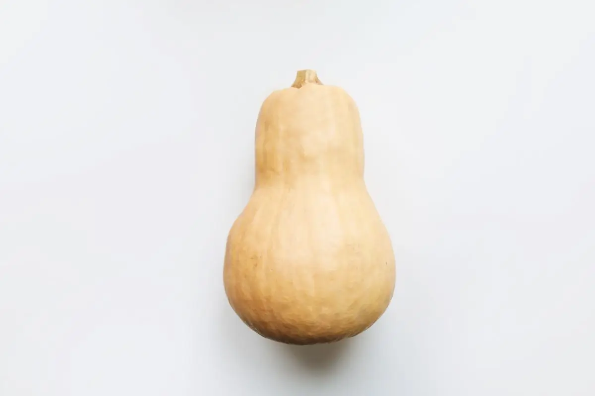 A whole butternut squash on a white background, about the size of your baby at 29 weeks pregnant