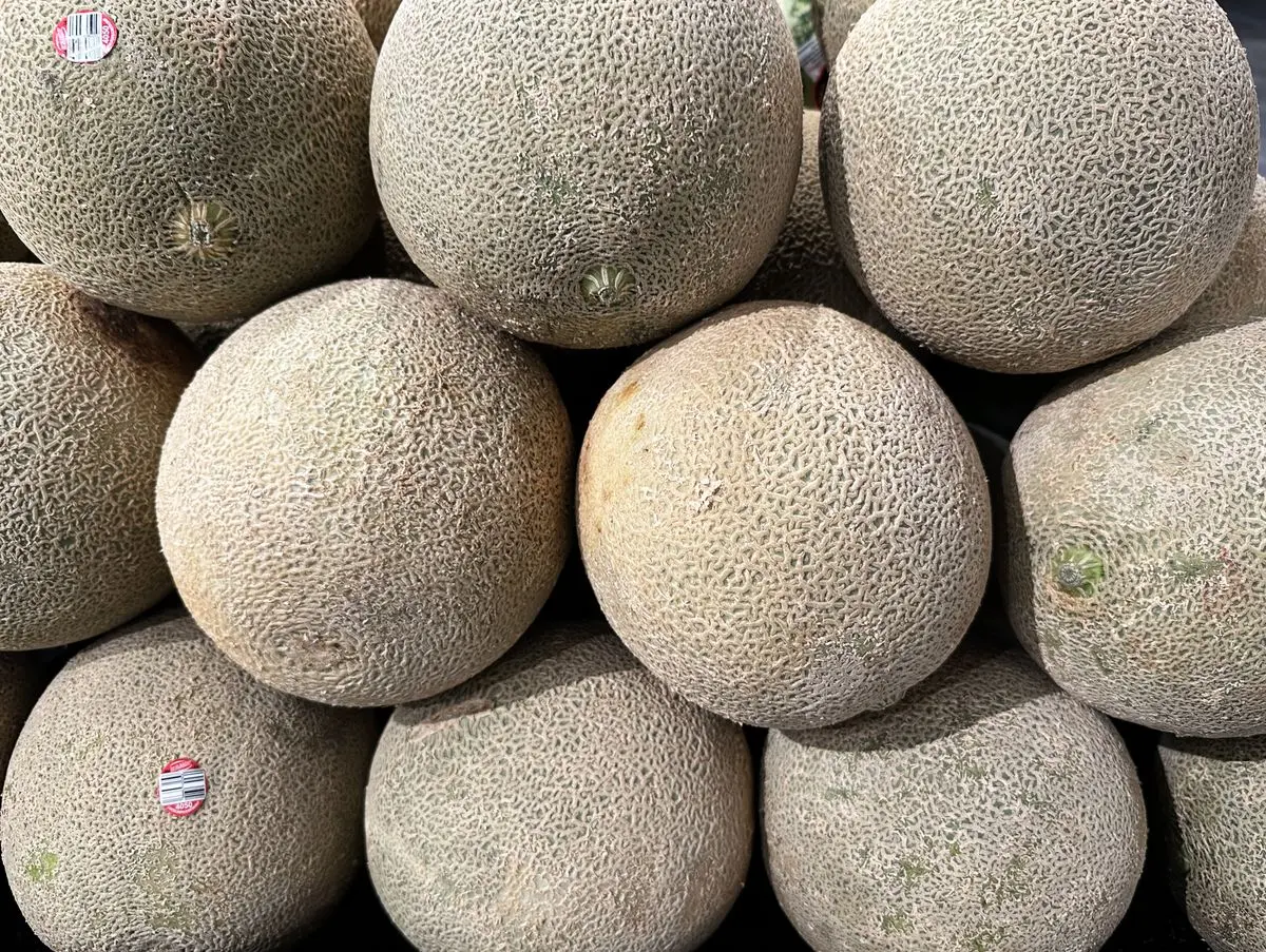 A stack of whole cantaloupe melons, about the size of your baby at 34 weeks pregnant